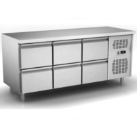 TECNOFRIGO Counter Chiller Italy with 6 drawers TFUN3160BT